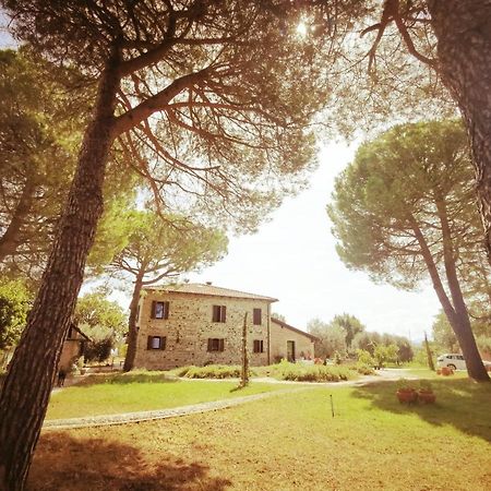 Villa VerucchioLa Bertinora住宿加早餐旅馆 外观 照片
