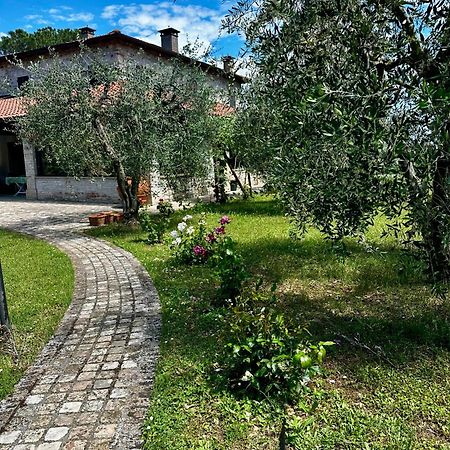 Villa VerucchioLa Bertinora住宿加早餐旅馆 外观 照片
