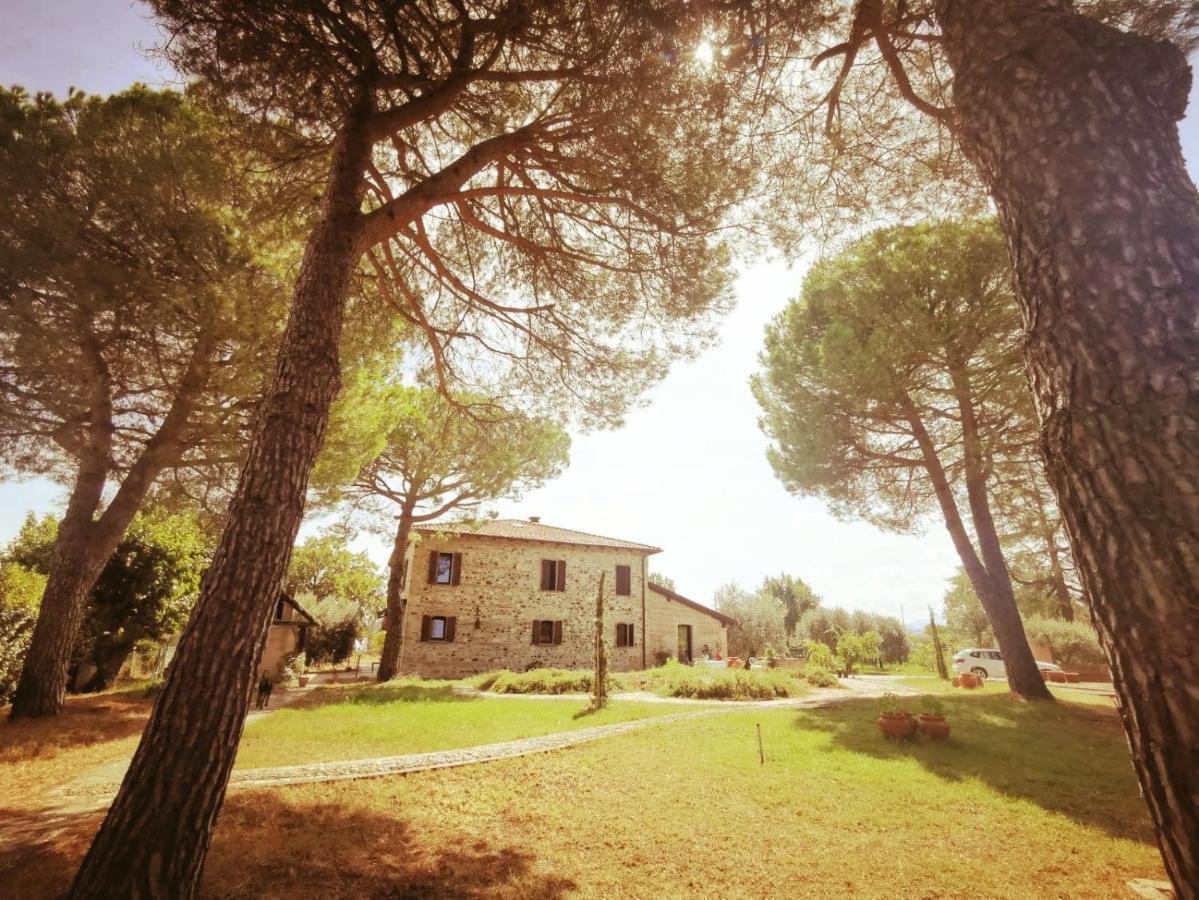 Villa VerucchioLa Bertinora住宿加早餐旅馆 外观 照片